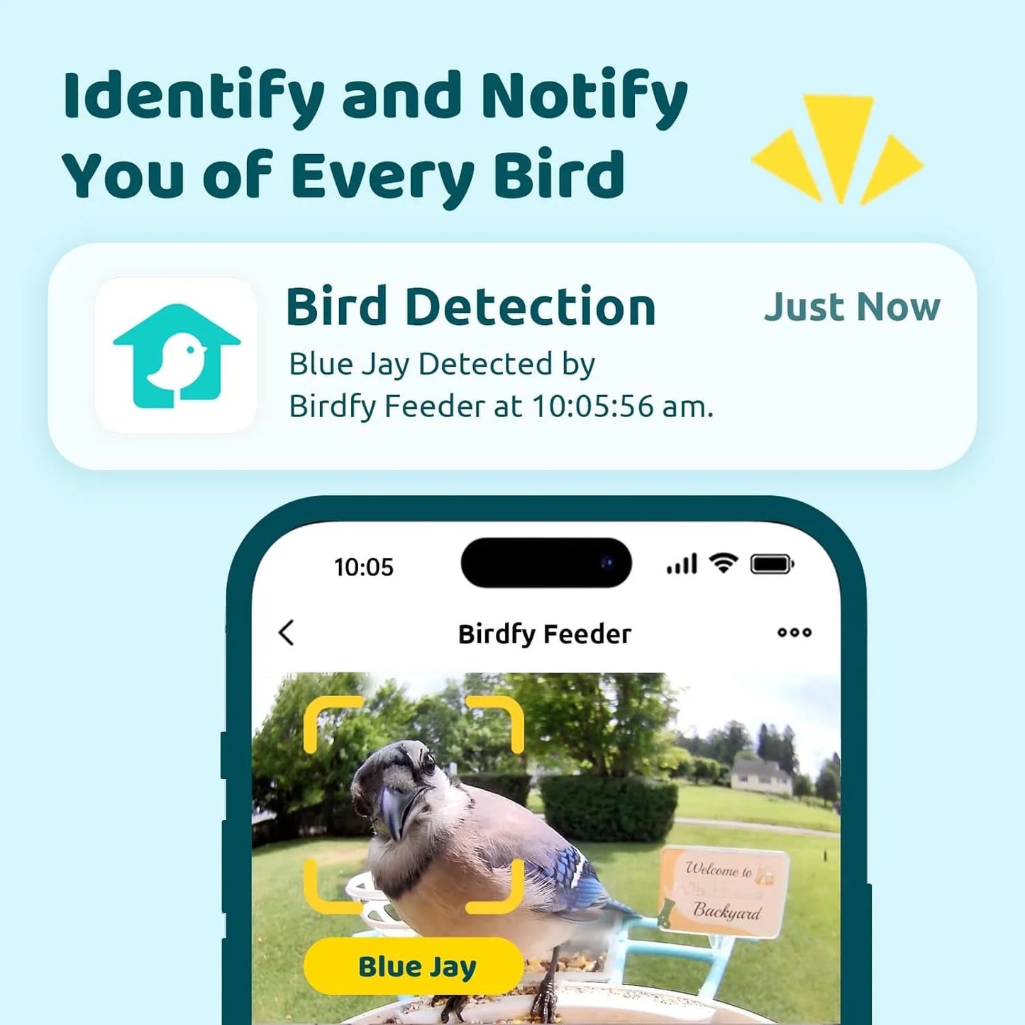 NETVUE Birdfy® Smart Bird Feeder with Camera – AI Bird Identification