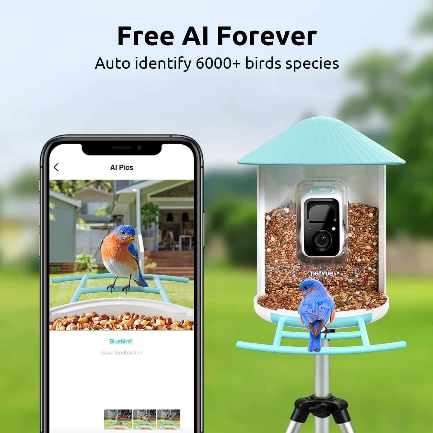 NETVUE Birdfy® Smart Bird Feeder with Camera – AI Bird Identification