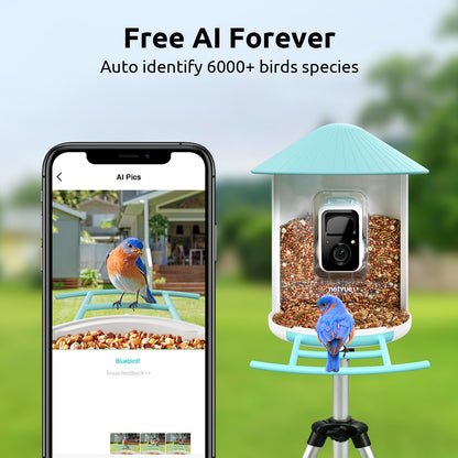 NETVUE Birdfy® Smart Bird Feeder with Camera – AI Bird Identification