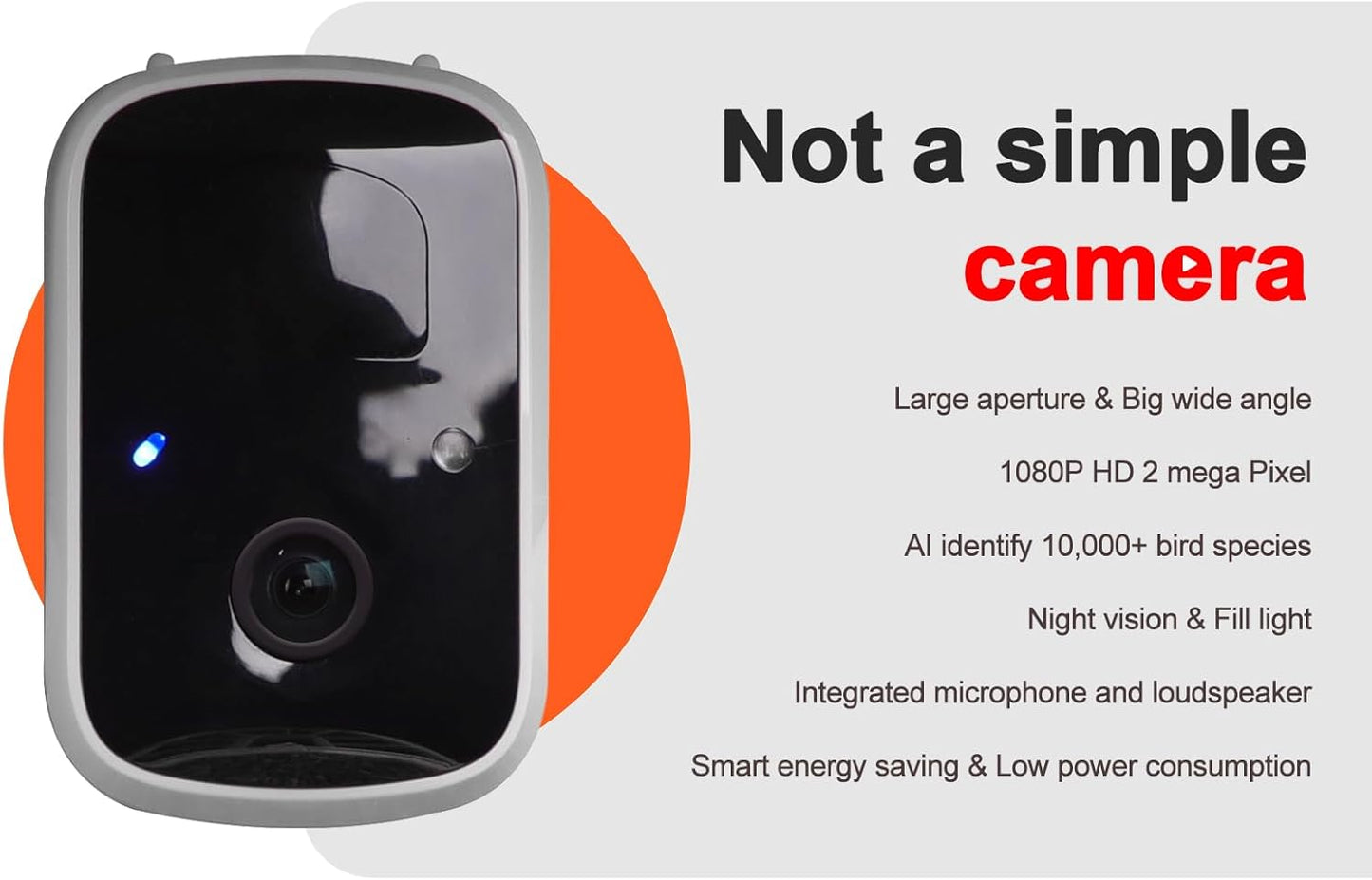 TYST DIRECT Smart Solar Bird Feeder with Camera – AI Recognition & HD Auto Recording