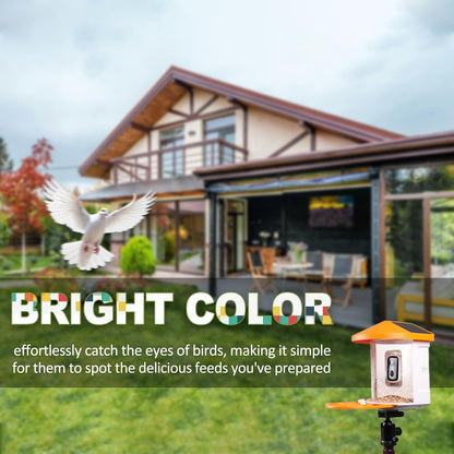 TYST DIRECT Smart Solar Bird Feeder with Camera – AI Recognition & HD Auto Recording