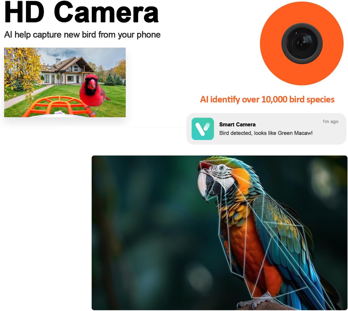 TYST DIRECT Smart Solar Bird Feeder with Camera – AI Recognition & HD Auto Recording