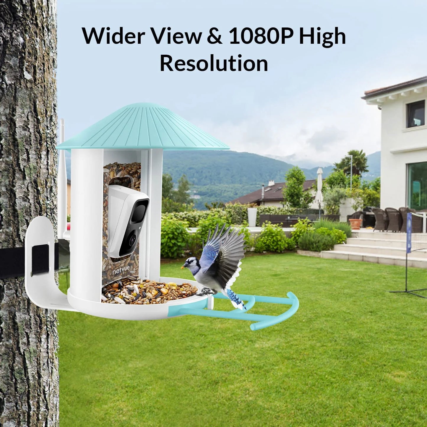 NETVUE Birdfy® Smart Bird Feeder with Camera – AI Bird Identification