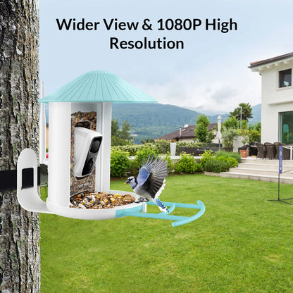 NETVUE Birdfy® Smart Bird Feeder with Camera – AI Bird Identification