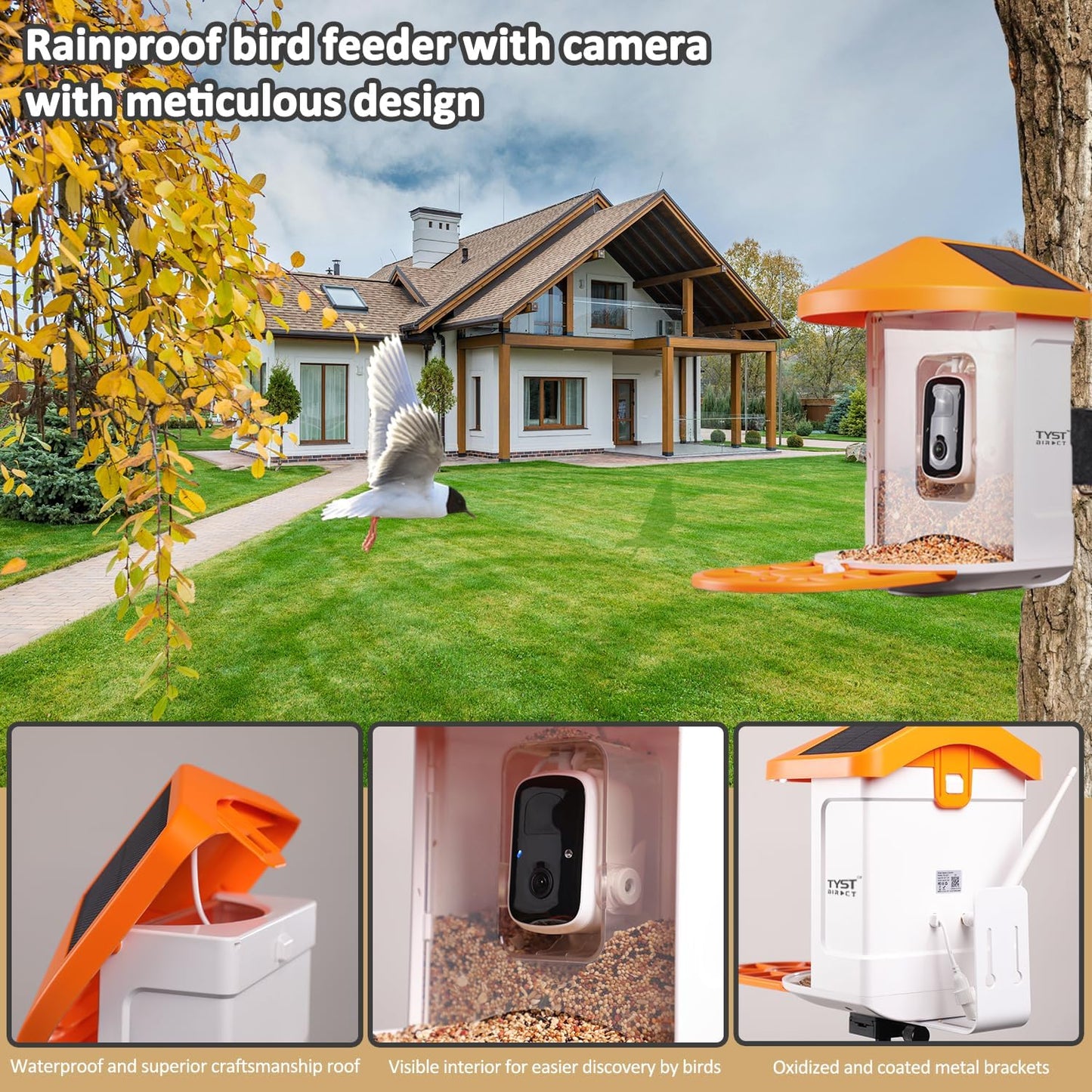 TYST DIRECT Smart Solar Bird Feeder with Camera – AI Recognition & HD Auto Recording