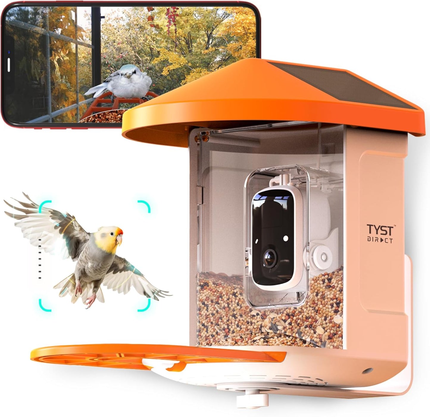 TYST DIRECT Smart Solar Bird Feeder with Camera – AI Recognition & HD Auto Recording
