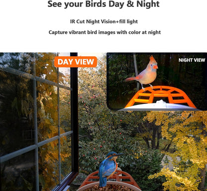 TYST DIRECT Smart Solar Bird Feeder with Camera – AI Recognition & HD Auto Recording