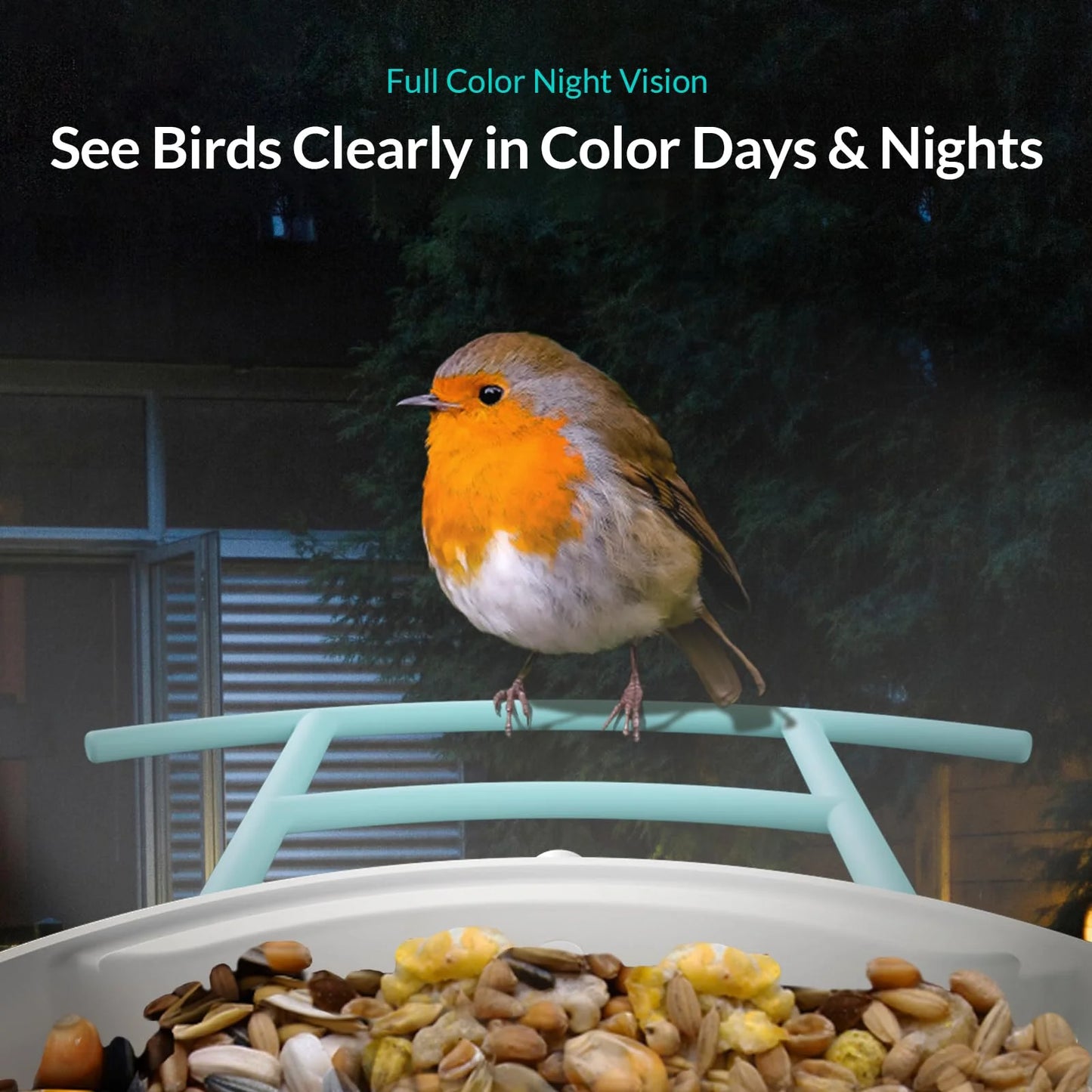 NETVUE Birdfy® Smart Bird Feeder with Camera – AI Bird Identification