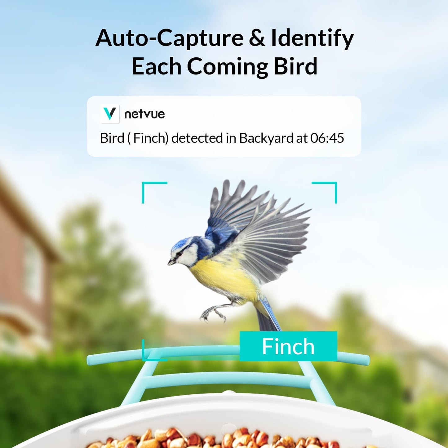 NETVUE Birdfy® Smart Bird Feeder with Camera – AI Bird Identification