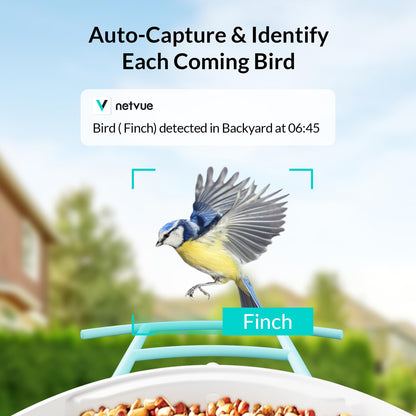 NETVUE Birdfy® Smart Bird Feeder with Camera – AI Bird Identification