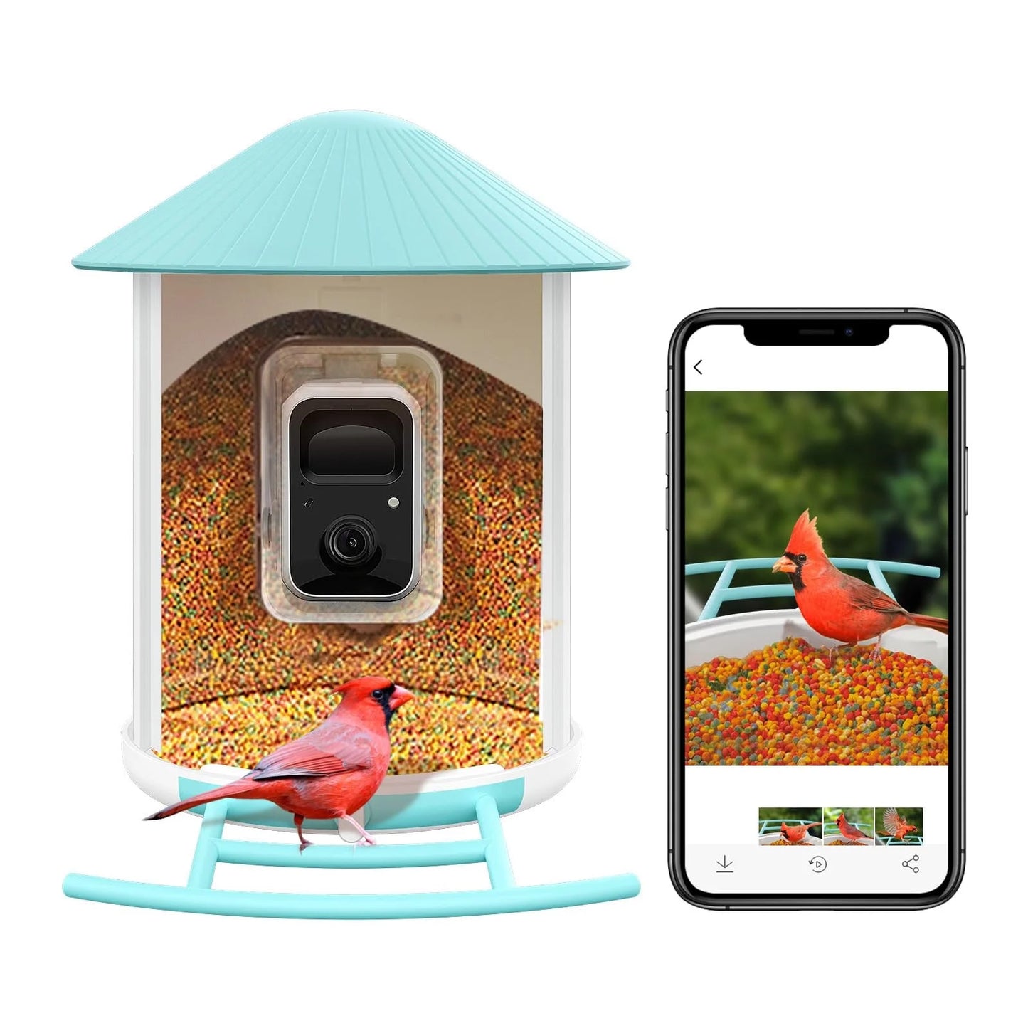 NETVUE Birdfy® Smart Bird Feeder with Camera – AI Bird Identification